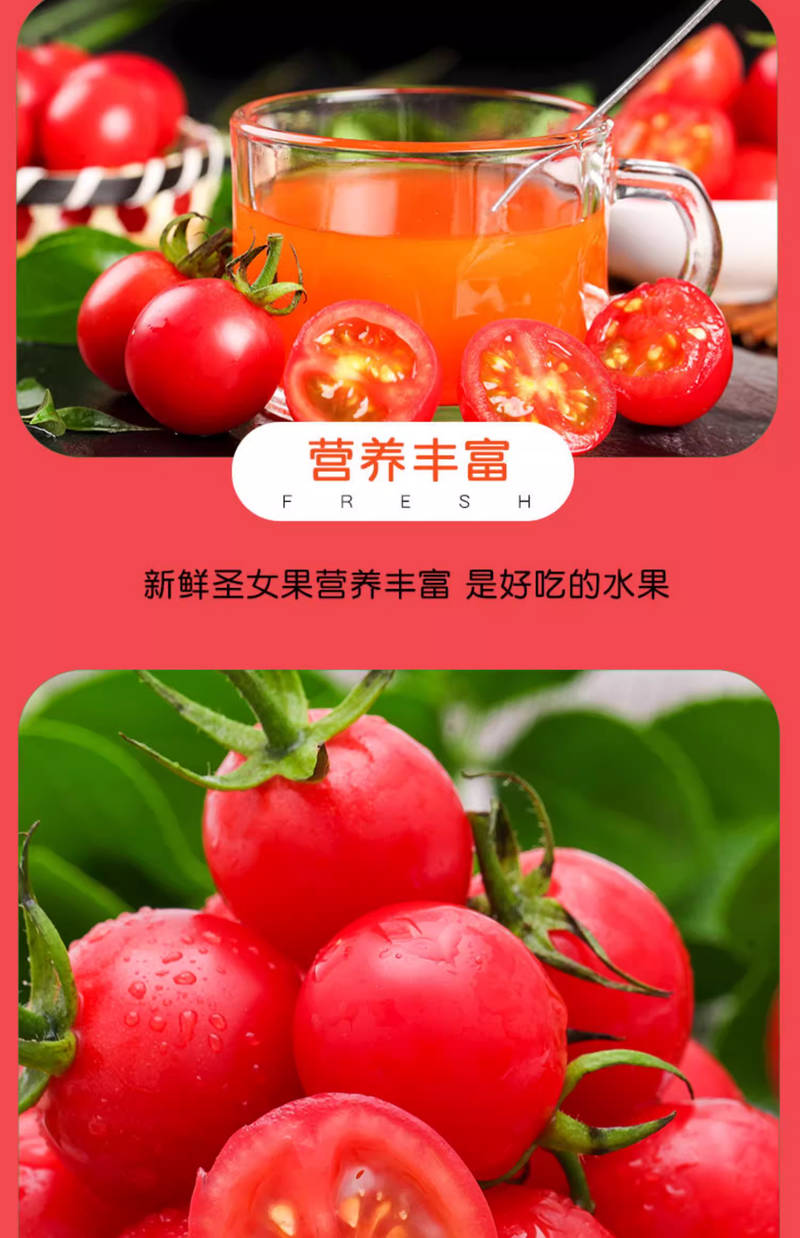 圣女果和小番茄有什么区别